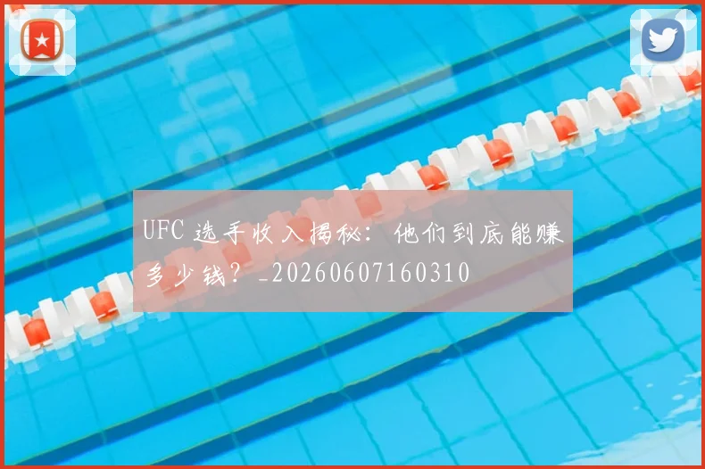 UFC 选手收入揭秘:他们到底能赚多少钱?_20260607160310