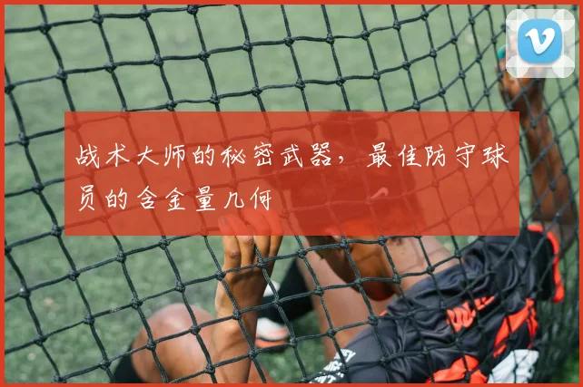 战术大师的秘密武器，最佳防守球员的含金量几何
