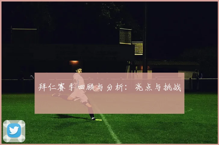 拜仁赛季回顾与分析：亮点与挑战