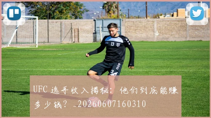 UFC 选手收入揭秘：他们到底能赚多少钱？_20260607160310